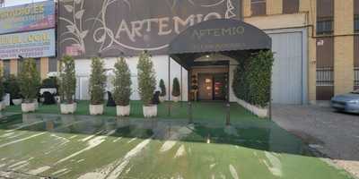 Salones Artemio