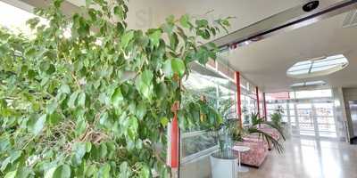 Las Dunas Suites Cafe