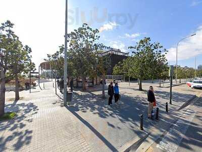 Brasayleña El Saler