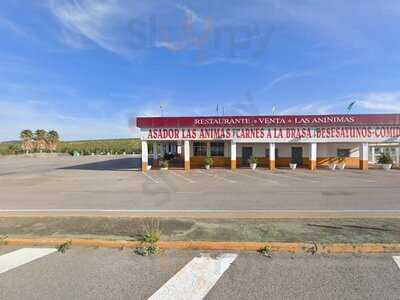 Venta Las Animas