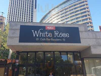 White Rose