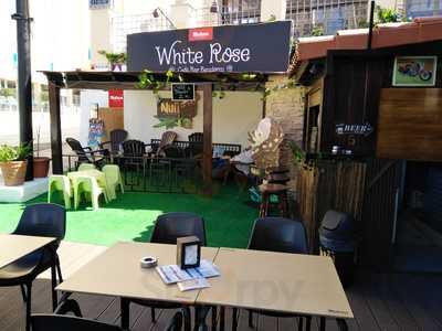 White Rose