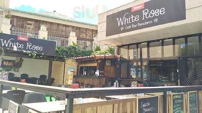 White Rose