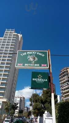 The Mucky Duck