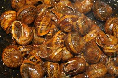 Restaurante Can Josep