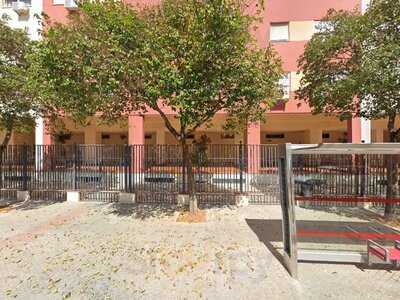 Carapino Maestro Heladero