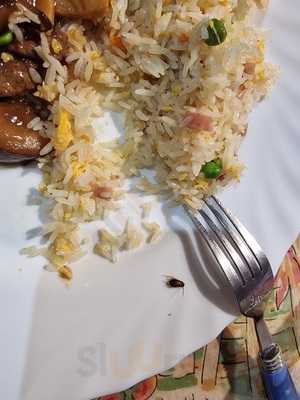 Restaurante Chino Pato De Pekín