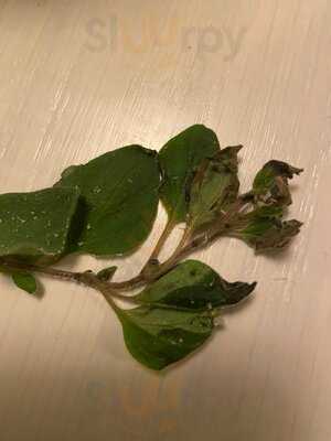 Ginos Puerto Venecia