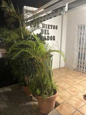 Los Nietos Del Pescador