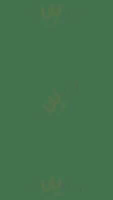 Arrosseria Xàtiva Sant Antoni