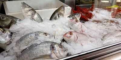 Restaurante El Palangre - Photo 7