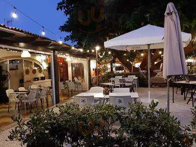 Alma Del Mar By Freda