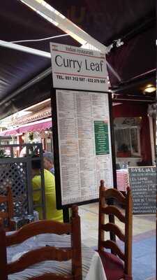 Curry Leaf - Photo 8