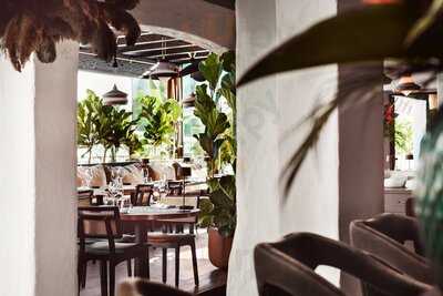 Monkey Club Marbella