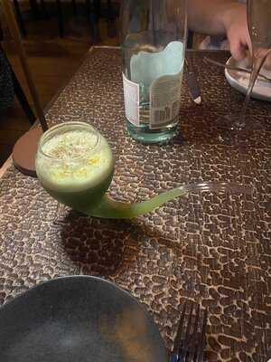 Monkey Club Marbella