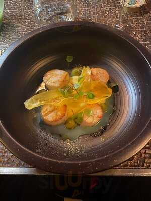 Monkey Club Marbella