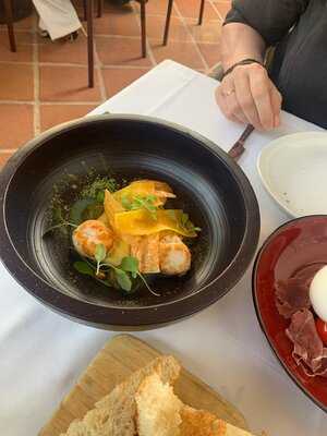 Monkey Club Marbella