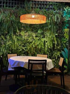 Monkey Club Marbella