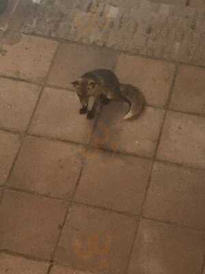 El Refugio De Juanar