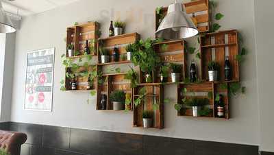 El Moli Pan Y Cafe Benalúa