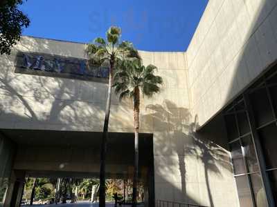 La Terraza Del Muvim