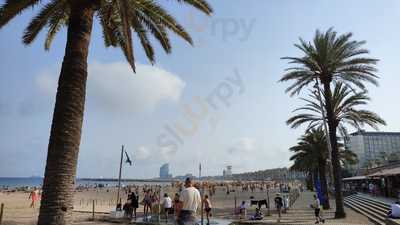 Pacha Barcelona Restaurant