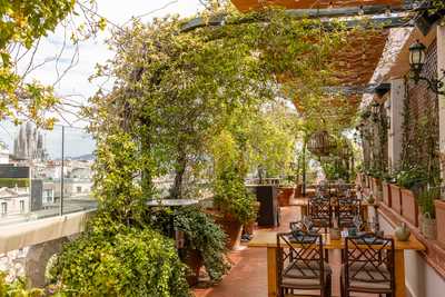 Rooftop Garden - Hotel El Palace Barcelona