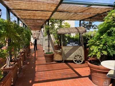 Rooftop Garden - Hotel El Palace Barcelona