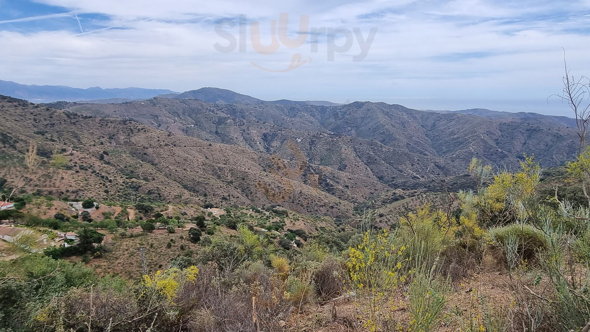 Venta Puerto Del Leon