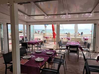 Joaquin Castello Garcia