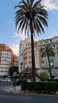 El Santito Fushion-bar