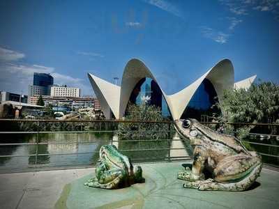 Avanqua Oceanografic-agora Sociedad Limitada