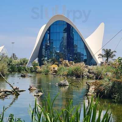 Avanqua Oceanografic-agora Sociedad Limitada