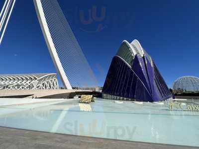 Avanqua Oceanografic-agora Sociedad Limitada