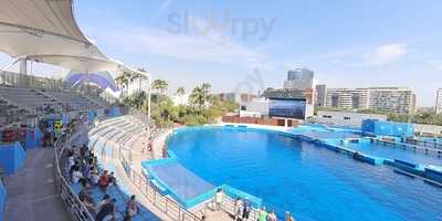 Avanqua Oceanografic-agora Sociedad Limitada