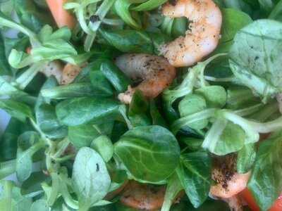 Colombo Tapas Bar & Restaurant