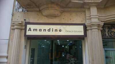 Amandine Dolce Gelato