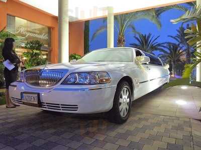 Despedidas De Soltero