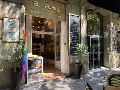 Restaurante El Puma