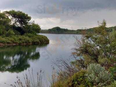 L'albufera Restaurant