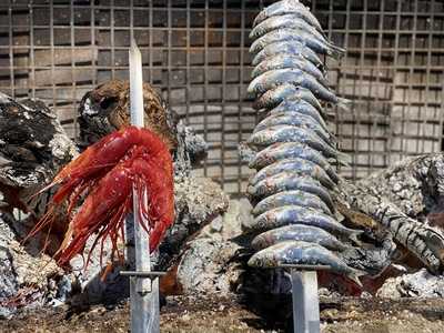 Chiringuito Restaurante Hermanos Perea