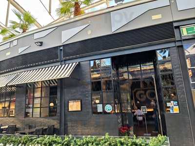 The Black Turtle - C.c. Arena