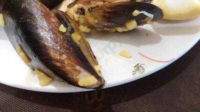 Restaurante Cerveceria Canovas