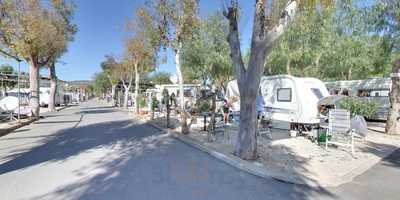 Bar - Cafeteria Camping Javea