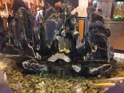 Restaurante Chino Gracia