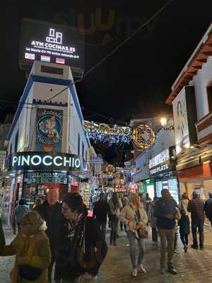 Gelateria Pinocchio Palmera
