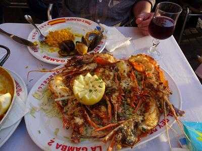 El Rey De La Gamba 1