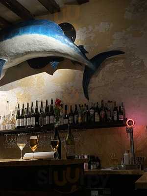 Can Cisa - Bar Brutal