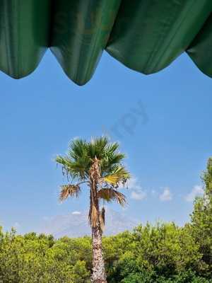 The Mountain View Family Cafe Bar