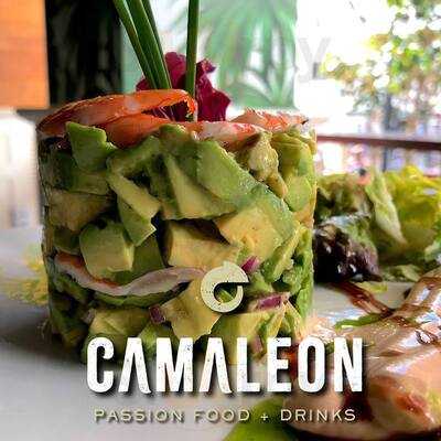 Camaleon Marbella